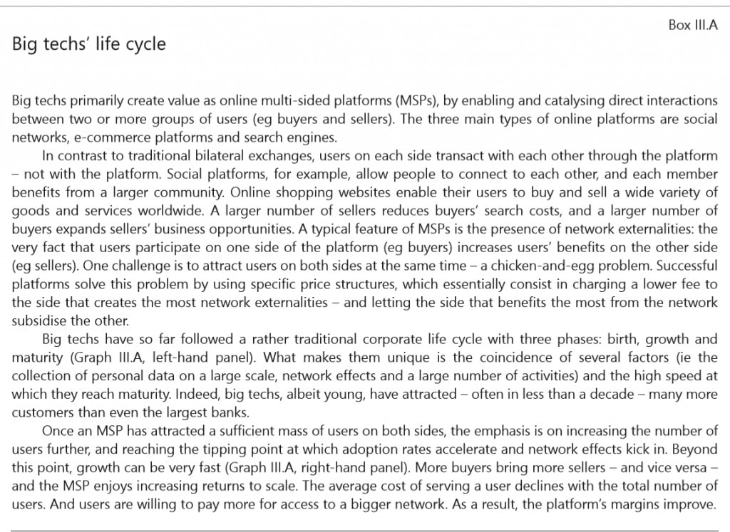 Bank of International Settlements Big Tech Life Cycle